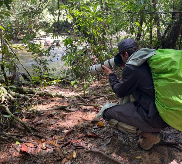 Day Tours in Sinharaja Rainforest