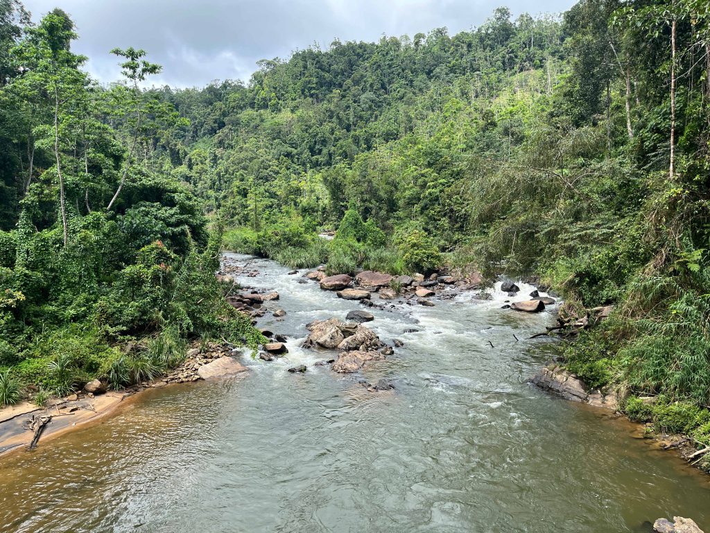 Gin River - Day Tours in Sinharaja Rainforest by NatureTrails.lk