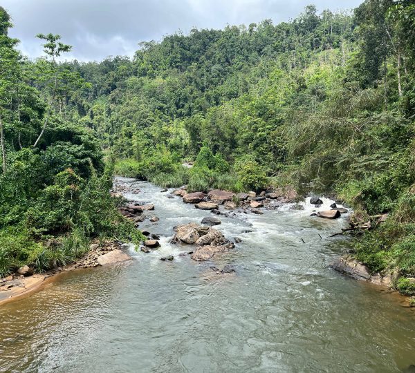 Gin River - Day Tours in Sinharaja Rainforest by NatureTrails.lk