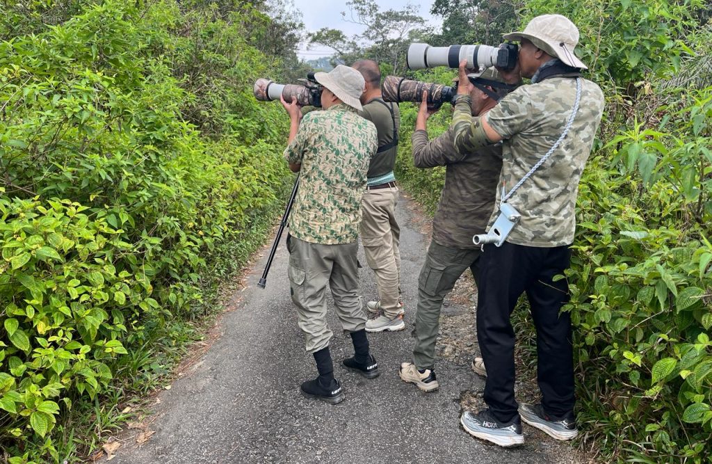Visiting Sinharaja Rainforest with Achi
